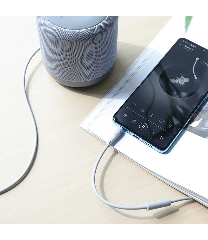 Hoco UPA14 AUX audio cable (L=1M), Art.:000784
